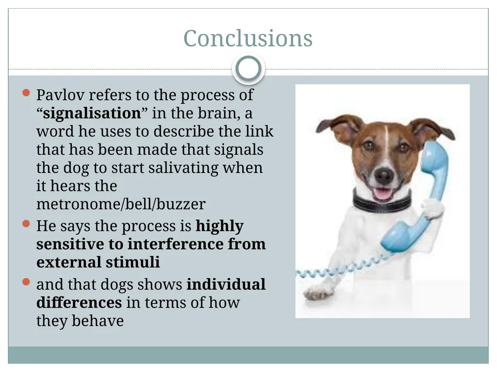 Classical Conditioning and his famous Experiment - slide 10 of 11