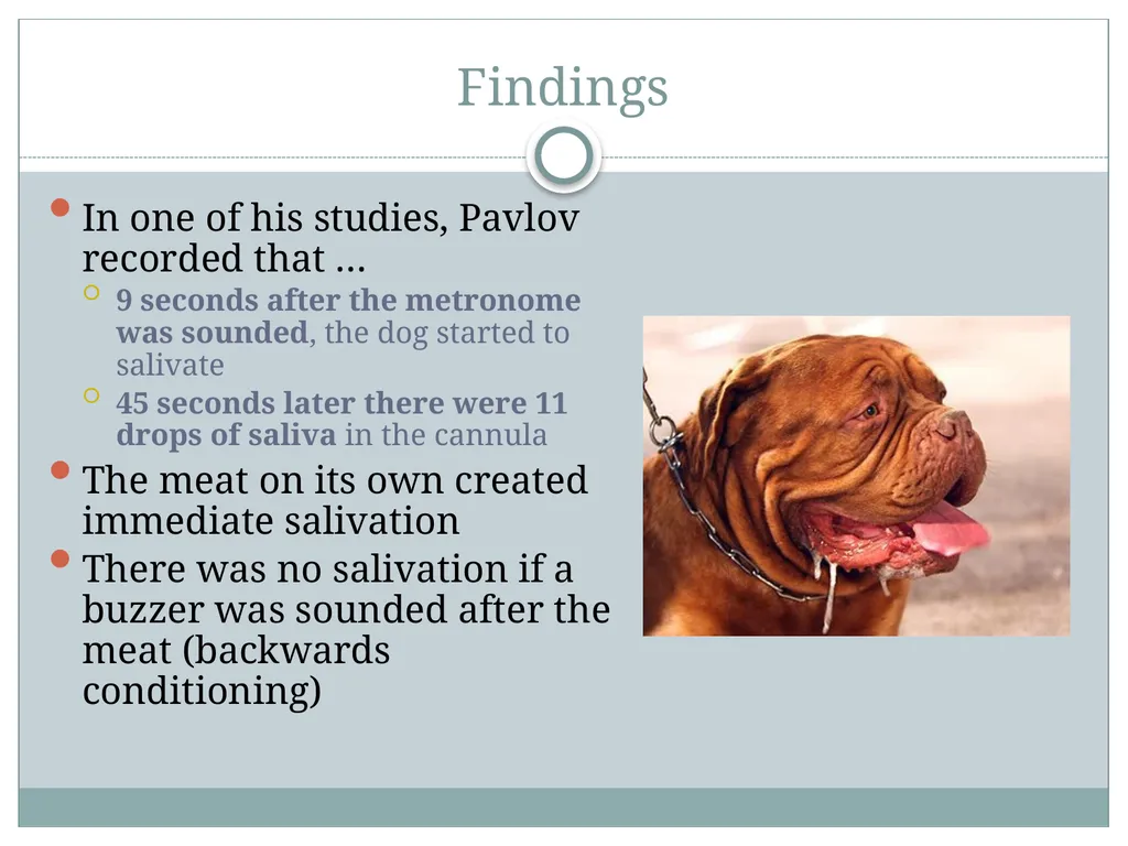 Classical Conditioning and his famous Experiment - slide 8 of 11