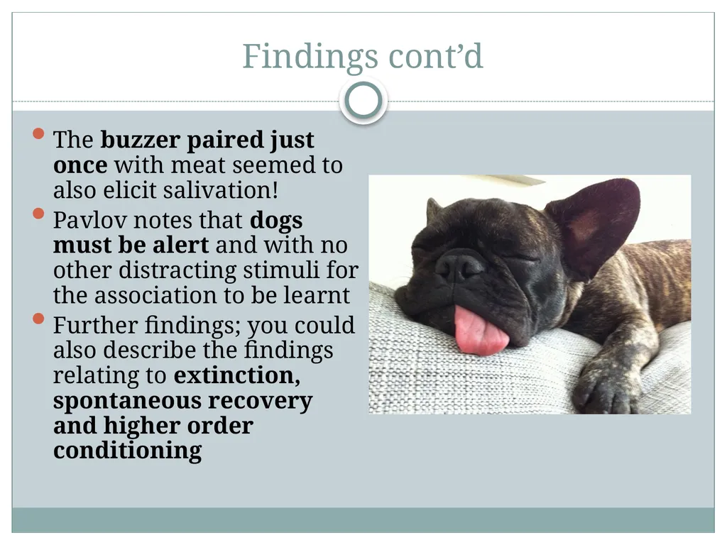 Classical Conditioning and his famous Experiment - slide 9 of 11
