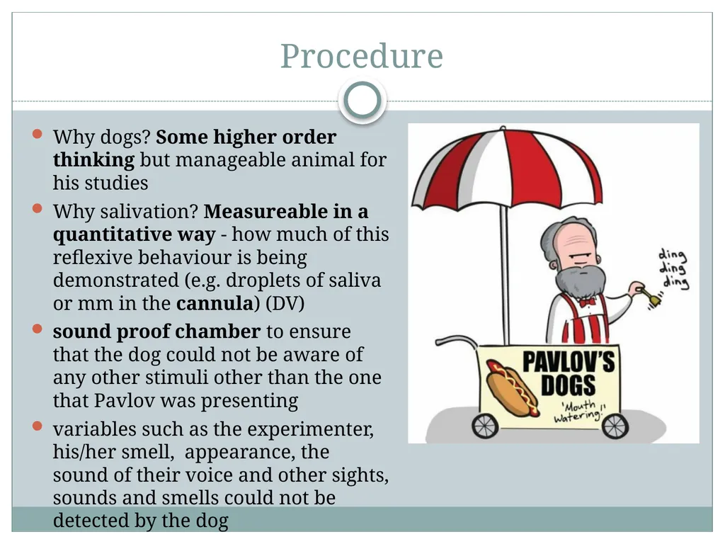 Classical Conditioning and his famous Experiment - slide 5 of 11
