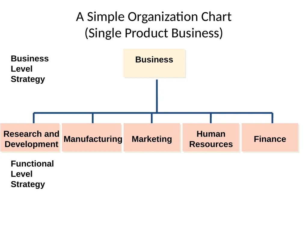 Strategy and Management Control system Tasks - slide 18 of 99