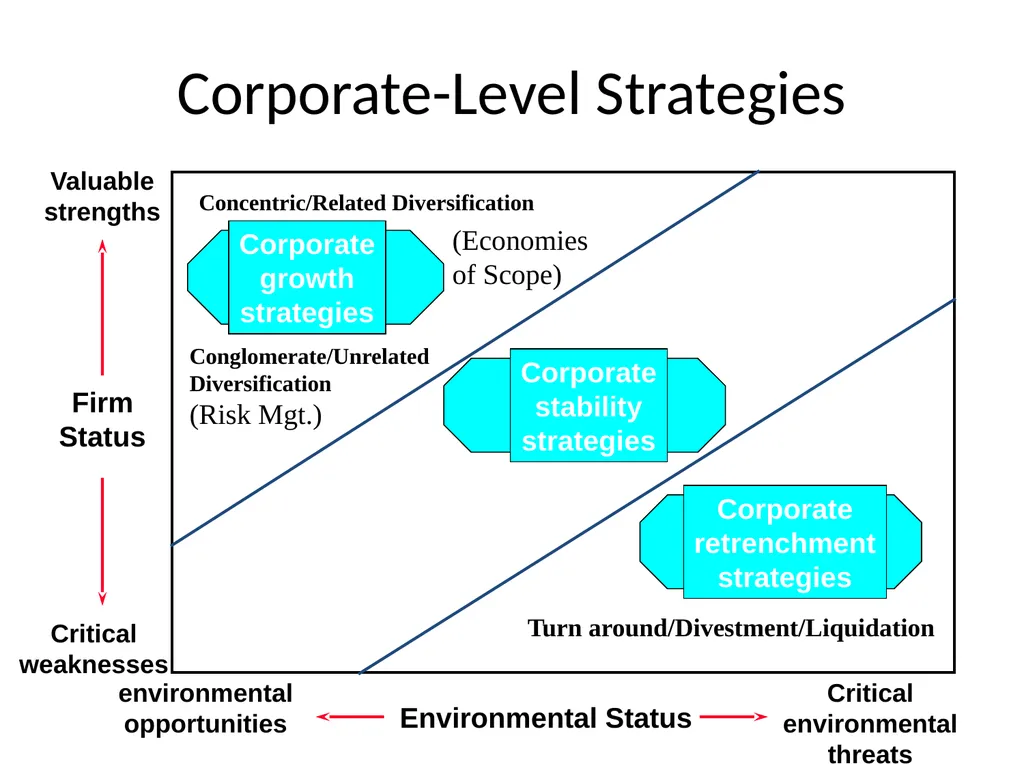 Strategy and Management Control system Tasks - slide 13 of 99