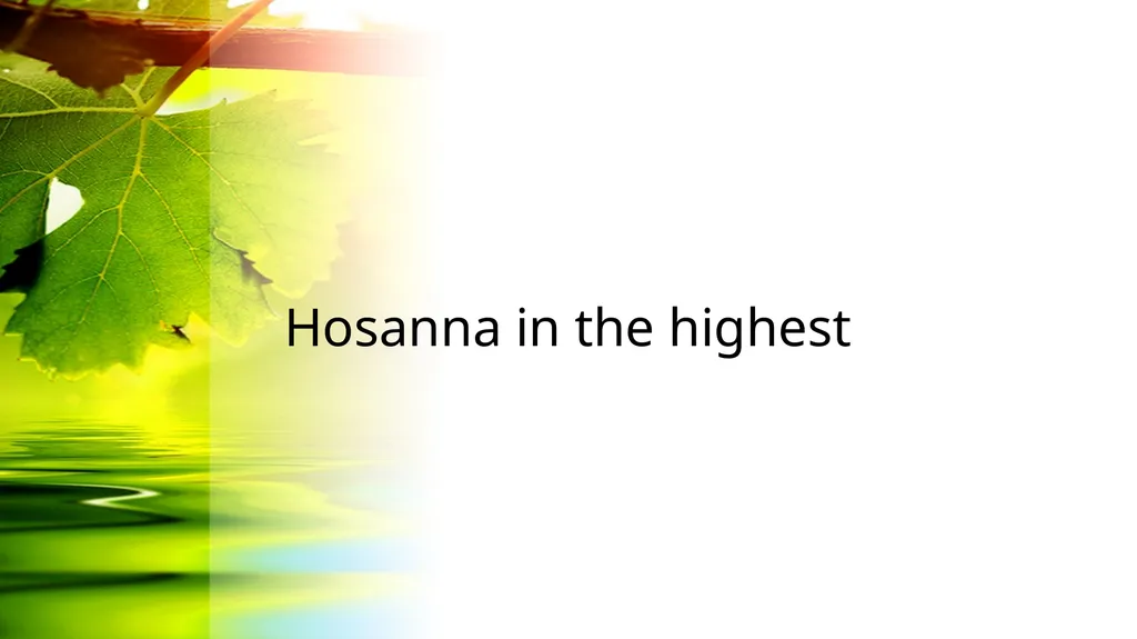 Hosanna Brooke Fraser I see the king of glory - slide 13 of 33