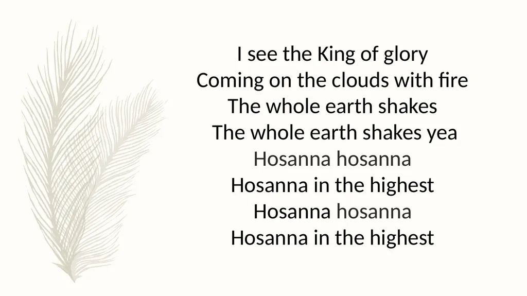 Hosanna Brooke Fraser I see the king of glory - slide 17 of 33