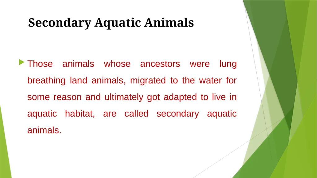 Aquatic Adaptation What is aquatic adaptation? - slide 7 of 9