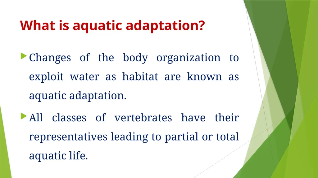 Aquatic Adaptation What is aquatic adaptation? - slide 2 of 9