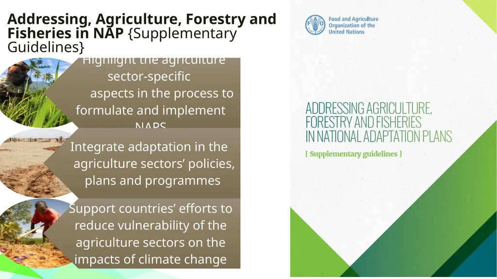 Module 1: GLOBAL POLICY CONTEXT FOR CLIMATE CHANGE - slide 20 of 32