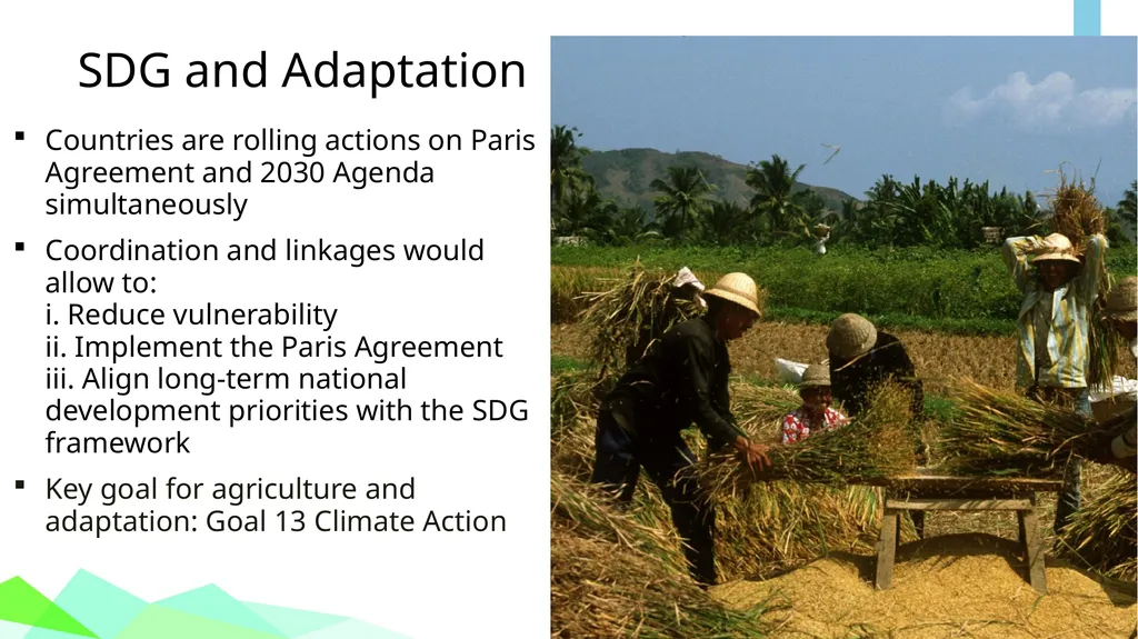Module 1: GLOBAL POLICY CONTEXT FOR CLIMATE CHANGE - slide 24 of 32