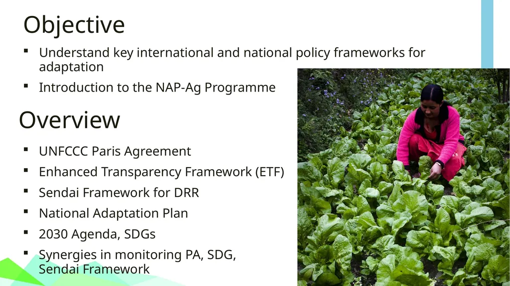 Module 1: GLOBAL POLICY CONTEXT FOR CLIMATE CHANGE - slide 2 of 32