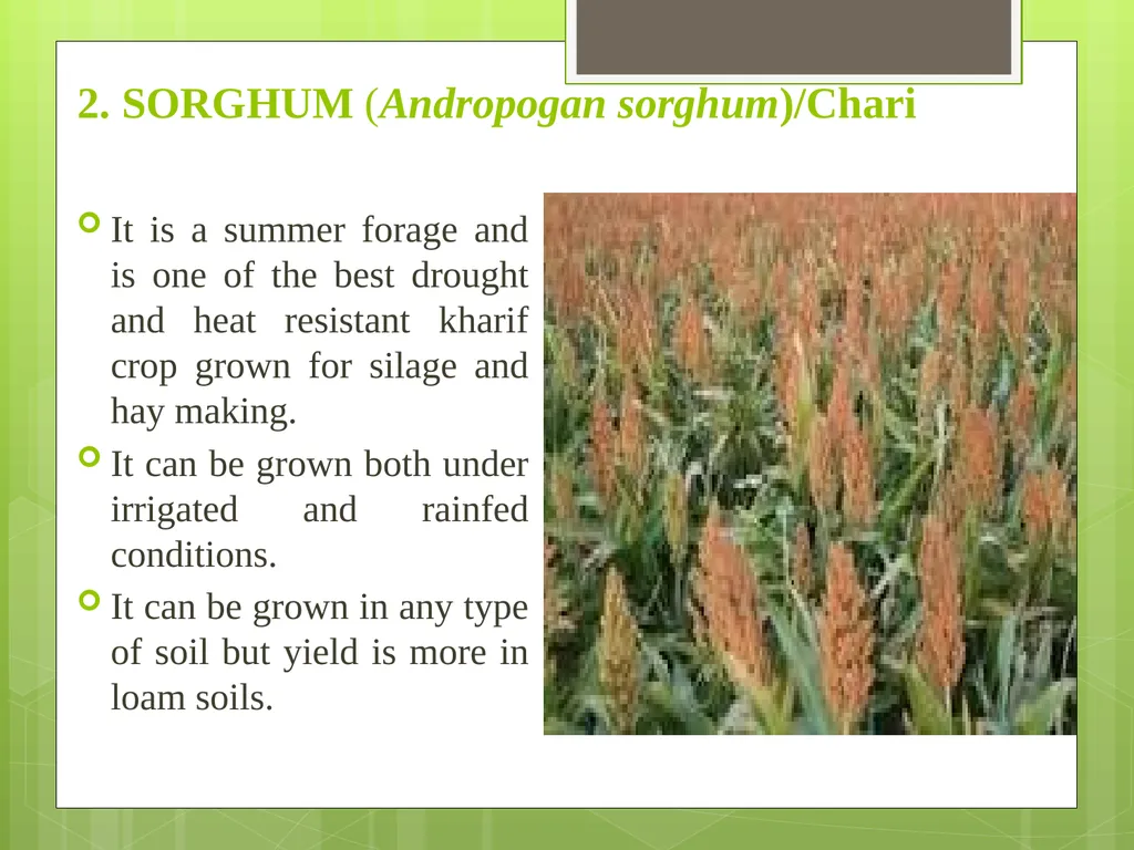 Livestock Production Management, MJF, Chomu, - slide 22 of 28