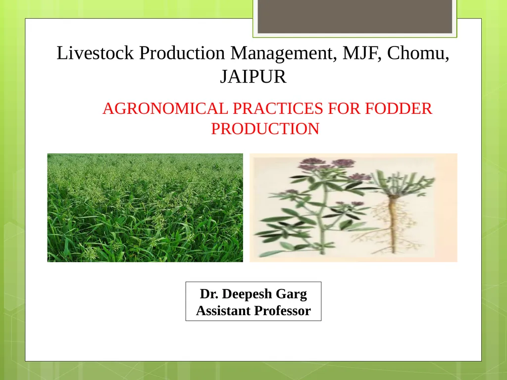 Livestock Production Management, MJF, Chomu, - slide 1 of 28