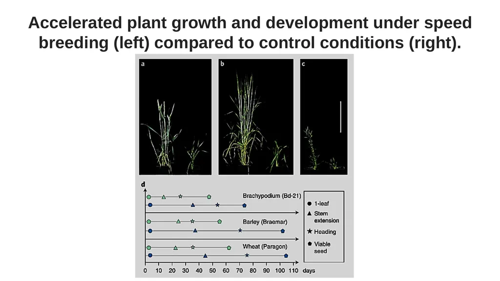 Lecture 1. Genetics (February 18) Lecture 2: - slide 61 of 110
