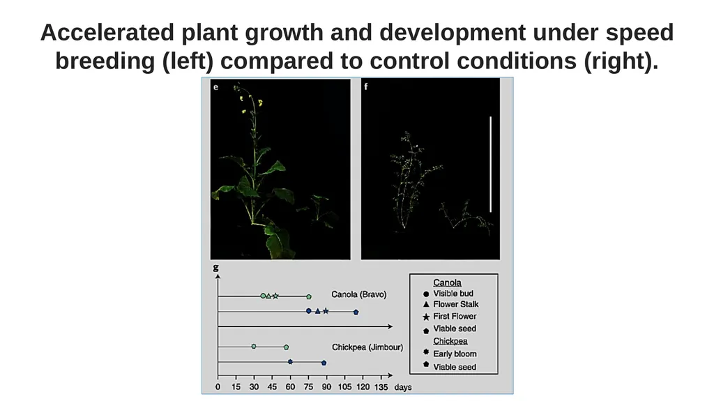 Lecture 1. Genetics (February 18) Lecture 2: - slide 62 of 110