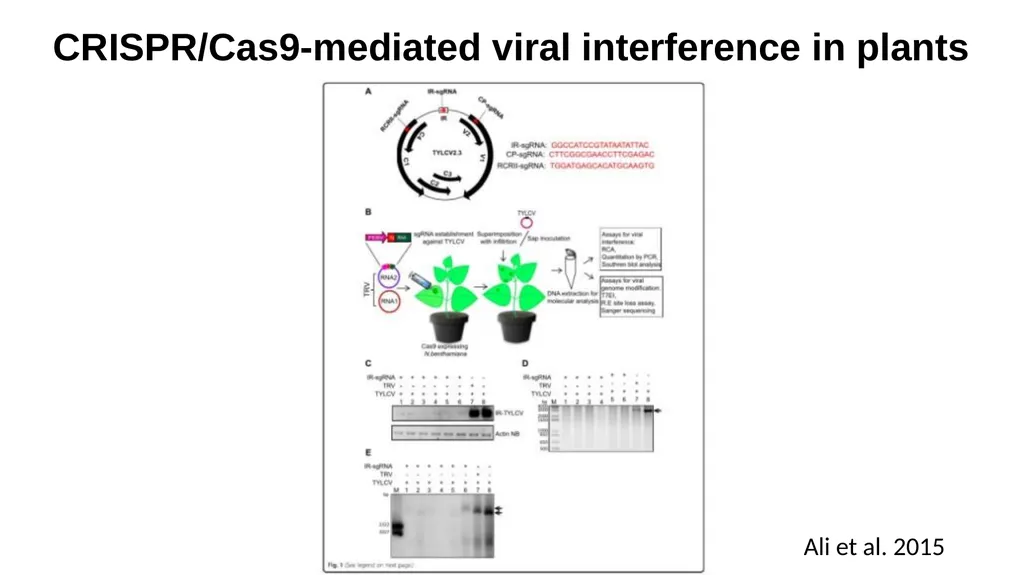 Lecture 1. Genetics (February 18) Lecture 2: - slide 92 of 110