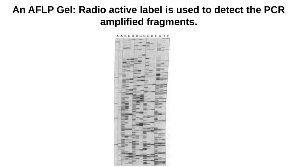 Lecture 1. Genetics (February 18) Lecture 2: - slide 31 of 110