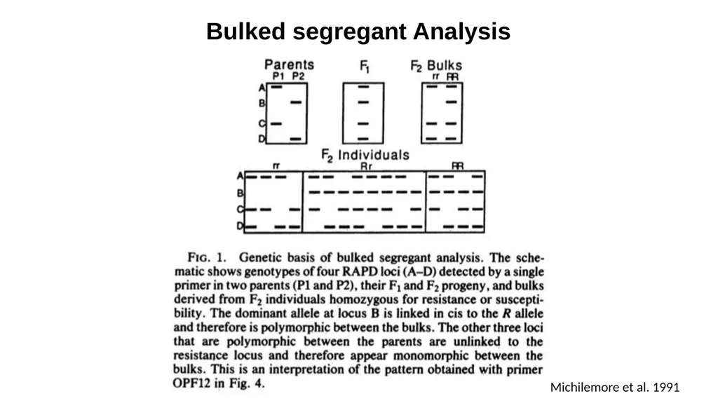 Lecture 1. Genetics (February 18) Lecture 2: - slide 41 of 110