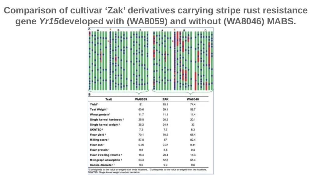 Lecture 1. Genetics (February 18) Lecture 2: - slide 53 of 110