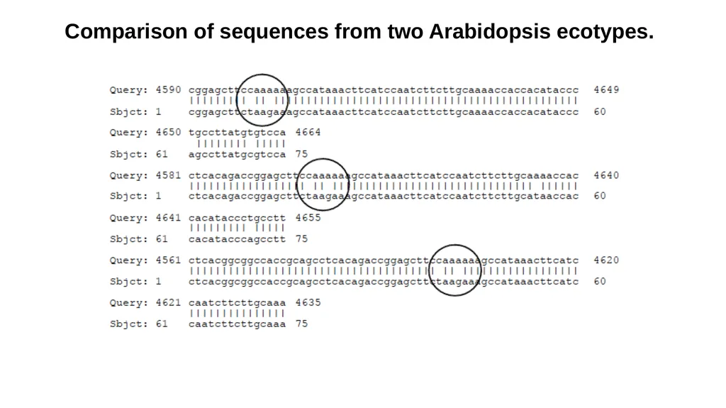 Lecture 1. Genetics (February 18) Lecture 2: - slide 38 of 110