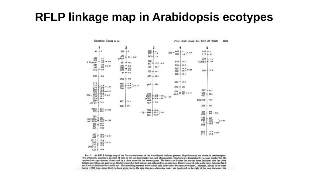 Lecture 1. Genetics (February 18) Lecture 2: - slide 19 of 110