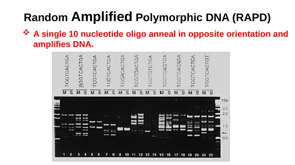 Lecture 1. Genetics (February 18) Lecture 2: - slide 21 of 110