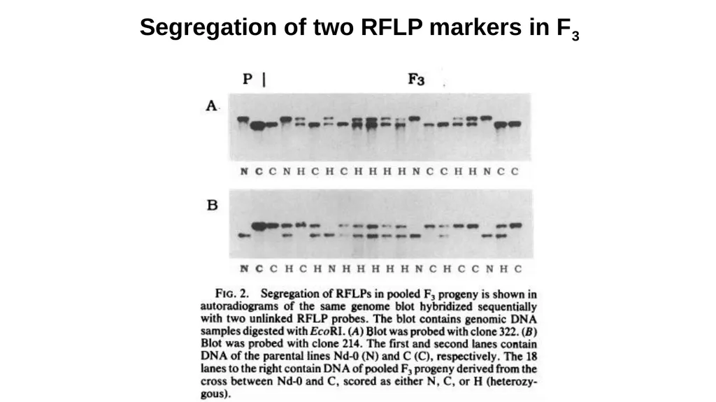 Lecture 1. Genetics (February 18) Lecture 2: - slide 18 of 110
