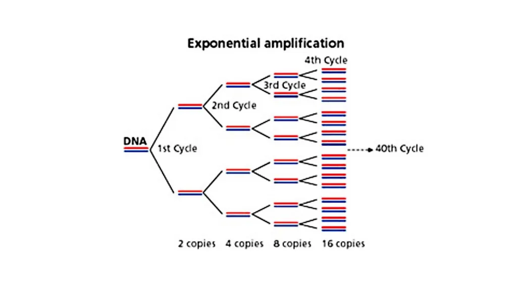 Lecture 1. Genetics (February 18) Lecture 2: - slide 12 of 110