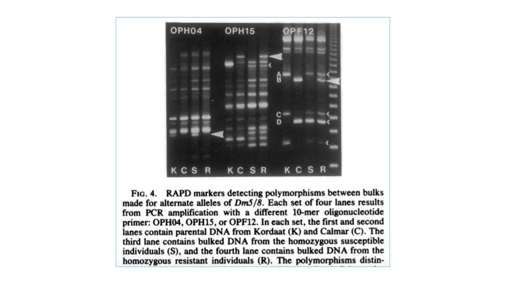 Lecture 1. Genetics (February 18) Lecture 2: - slide 42 of 110