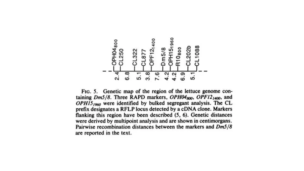Lecture 1. Genetics (February 18) Lecture 2: - slide 43 of 110