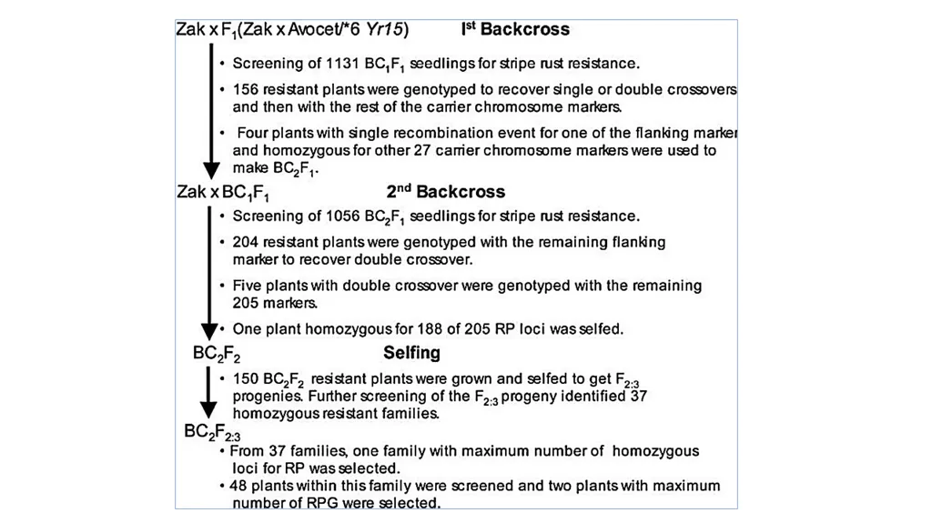 Lecture 1. Genetics (February 18) Lecture 2: - slide 52 of 110