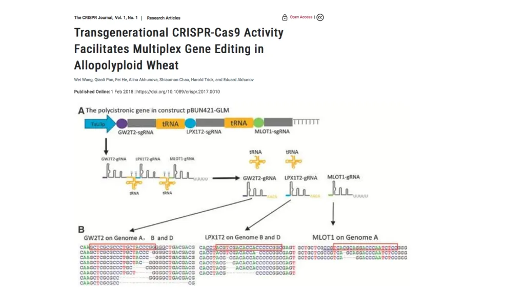 Lecture 1. Genetics (February 18) Lecture 2: - slide 93 of 110