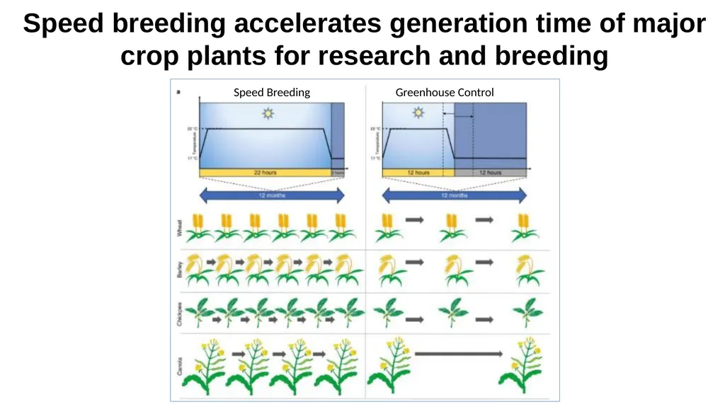 Lecture 1. Genetics (February 18) Lecture 2: - slide 57 of 110