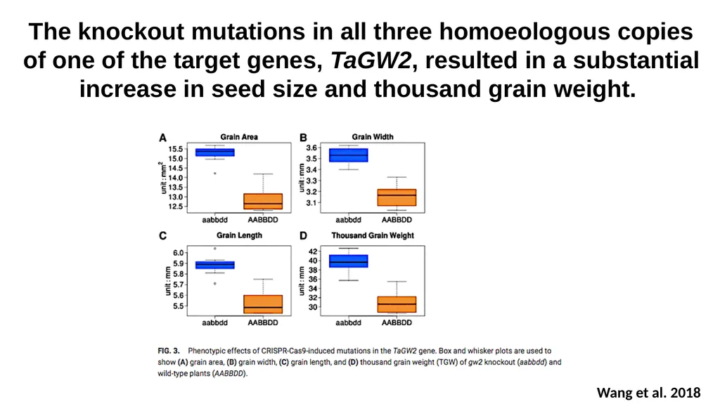 Lecture 1. Genetics (February 18) Lecture 2: - slide 94 of 110
