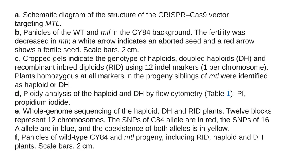 Lecture 1. Genetics (February 18) Lecture 2: - slide 106 of 110