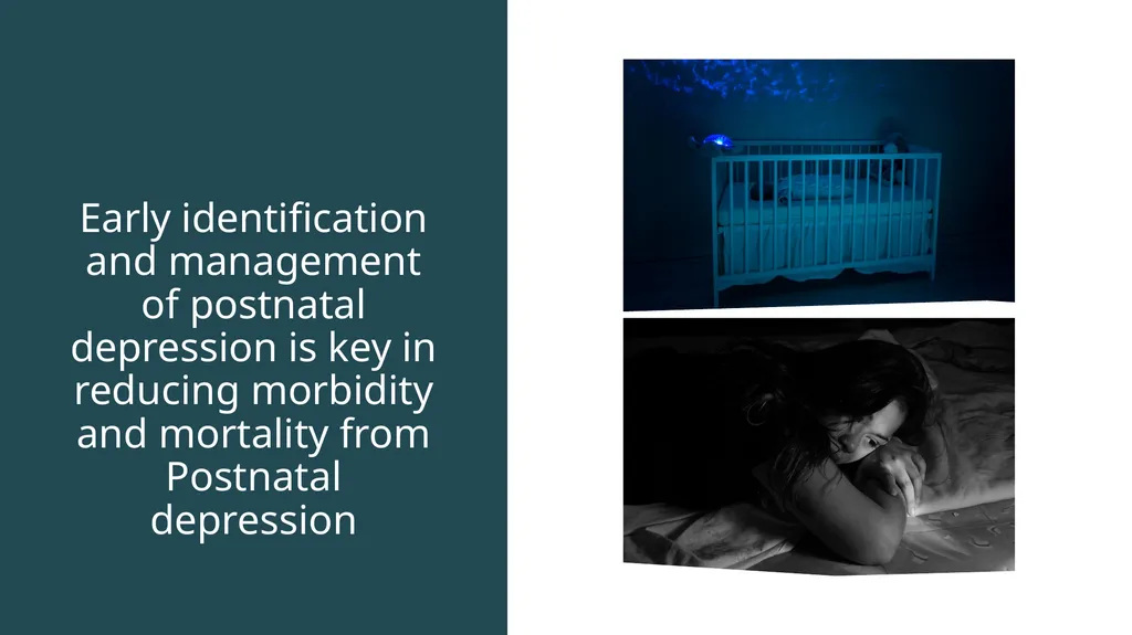 Postnatal depression Jumoke Ojo, CT3, RCH Aberdeen - slide 14 of 16