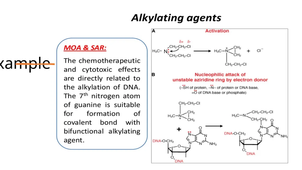 Antineoplastic agents By Dr Abdul Samad Salahuddin - slide 19 of 26