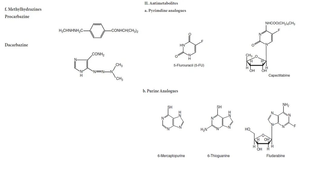 Antineoplastic agents By Dr Abdul Samad Salahuddin - slide 12 of 26