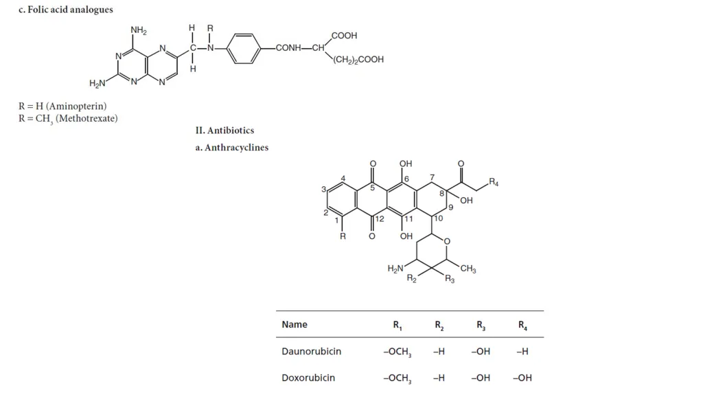 Antineoplastic agents By Dr Abdul Samad Salahuddin - slide 13 of 26