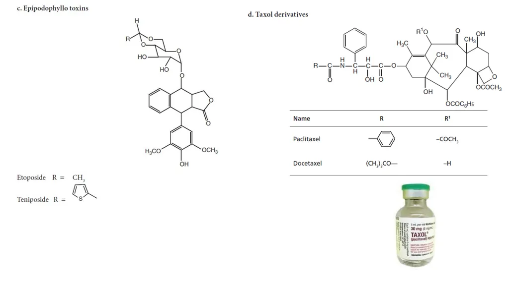 Antineoplastic agents By Dr Abdul Samad Salahuddin - slide 15 of 26
