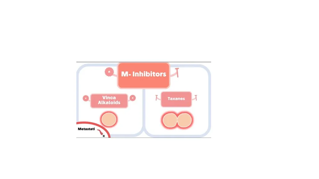 Antineoplastic agents By Dr Abdul Samad Salahuddin - slide 25 of 26