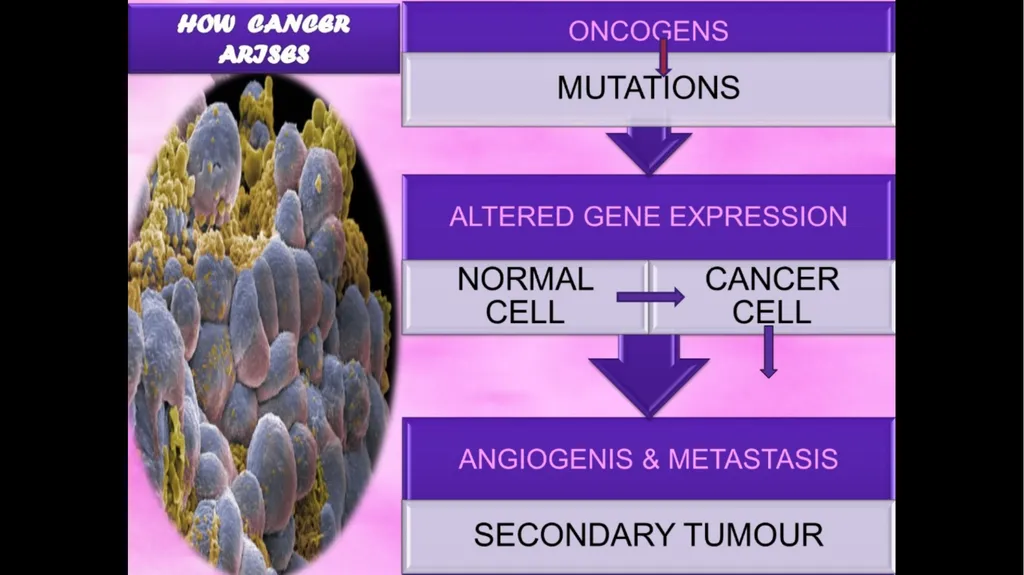 Antineoplastic agents By Dr Abdul Samad Salahuddin - slide 6 of 26