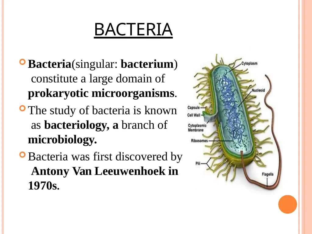 CELL WALL: STRUCTURE AND DYNAMICS INTRODUCTION - slide 4 of 41