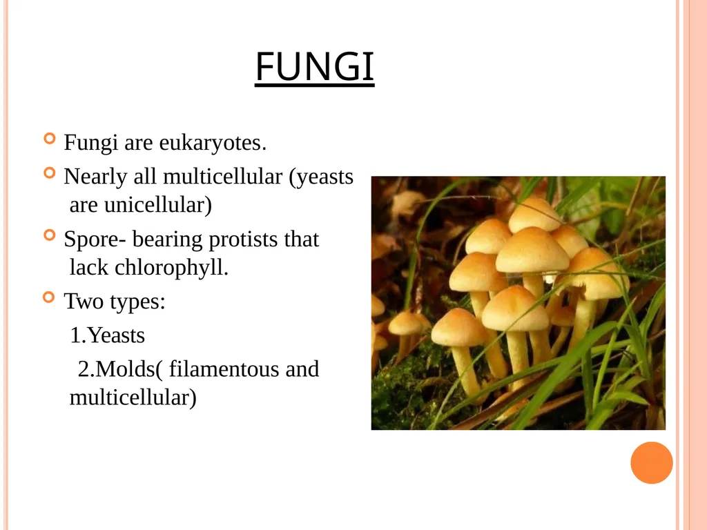CELL WALL: STRUCTURE AND DYNAMICS INTRODUCTION - slide 13 of 41