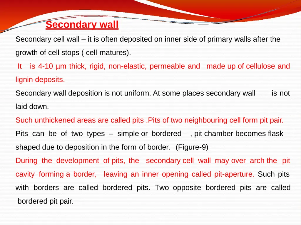 CELL WALL: STRUCTURE AND DYNAMICS INTRODUCTION - slide 25 of 41
