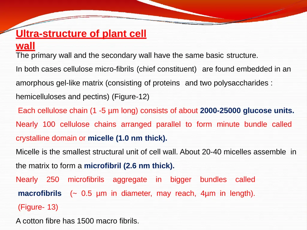 CELL WALL: STRUCTURE AND DYNAMICS INTRODUCTION - slide 32 of 41