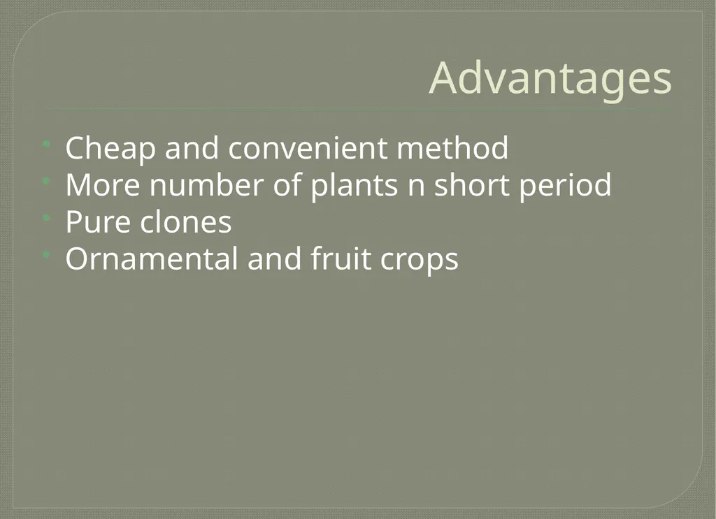 Vegetative propagation -Cutting By A.M.RASHIDA - slide 5 of 21