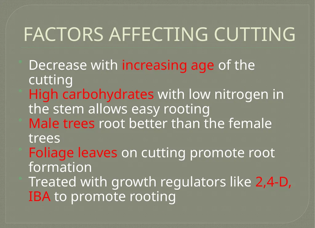 Vegetative propagation -Cutting By A.M.RASHIDA - slide 19 of 21