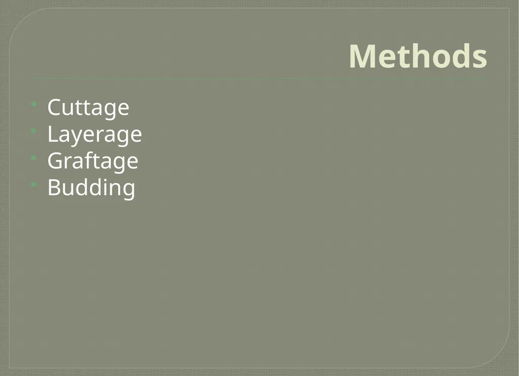 Vegetative propagation -Cutting By A.M.RASHIDA - slide 3 of 21