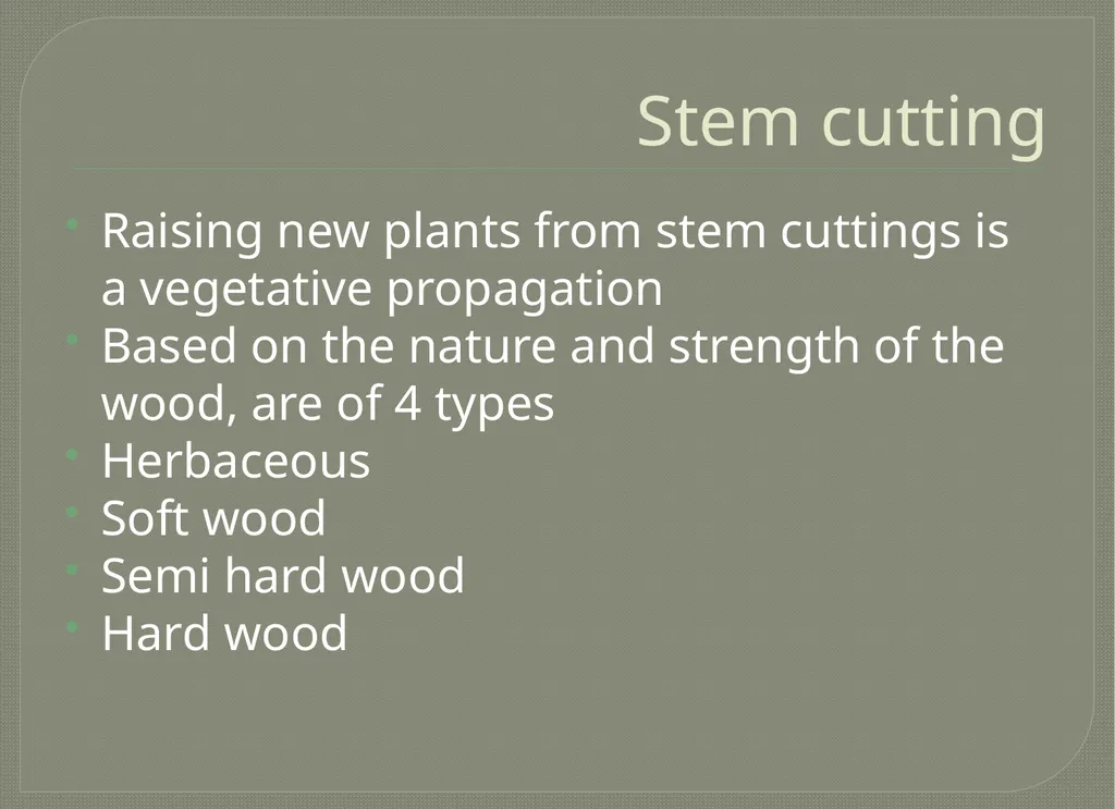 Vegetative propagation -Cutting By A.M.RASHIDA - slide 8 of 21
