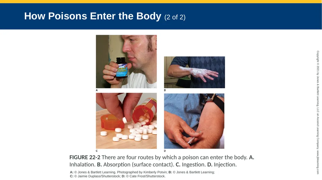 CHAPTER 22 Toxicology National EMS Education - slide 14 of 131