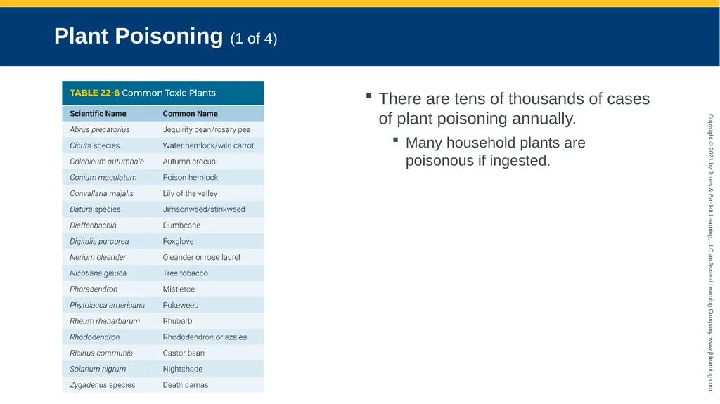 CHAPTER 22 Toxicology National EMS Education - slide 98 of 131
